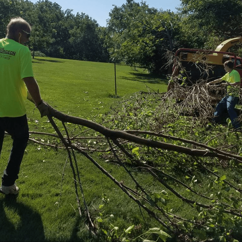 Bush Trimming and Removal Omaha, NE Bush Trimming and Removal Omaha, NE