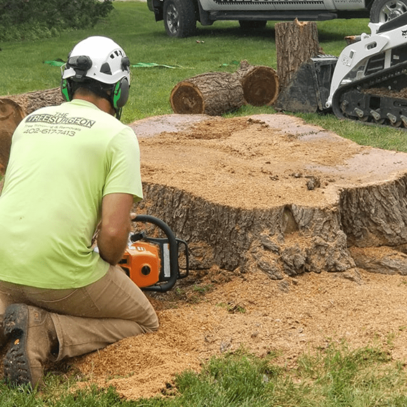 Stump Grinding Omaha, NE Stump Grinding Omaha, NE
