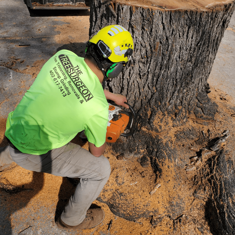 Tree Removal Omaha, NE Tree Removal Omaha, NE